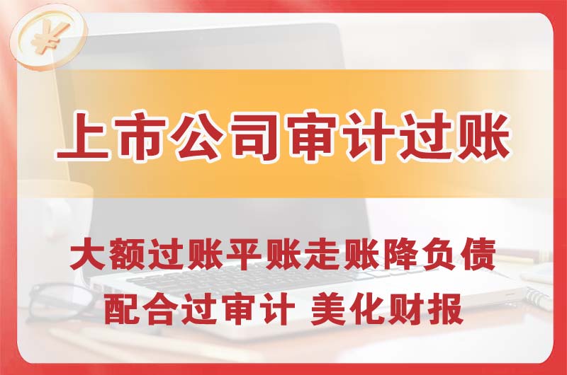 阳新上市公司审计过账